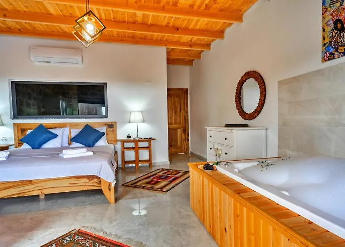 别墅 Patara 1 Bedroom With Pool 卡尔坎